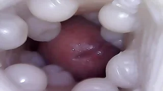 Gay Porn 1